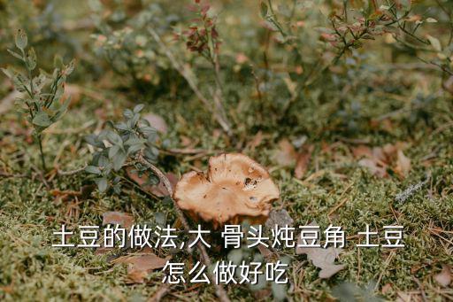  土豆的做法,大 骨頭燉豆角 土豆怎么做好吃