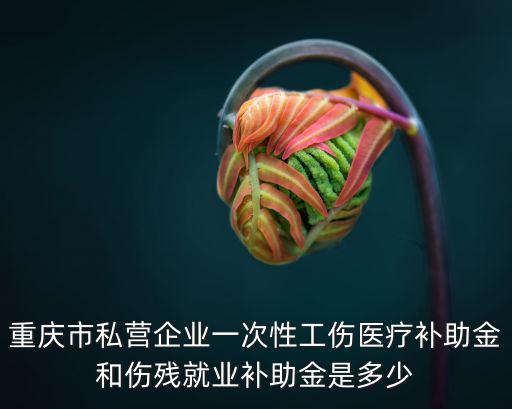 重慶市私營企業一次性工傷醫療補助金和傷殘就業補助金是多少