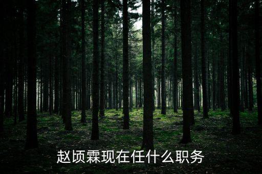 河南息縣路口人天津市委書記，趙頃霖現在任什么職務