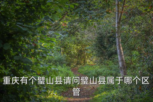 重慶有個璧山縣請問璧山縣屬于哪個區管
