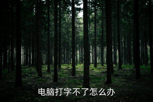 電腦打字不了怎么辦
