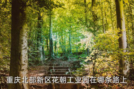 重慶北部新區(qū)花朝工業(yè)園在哪條路上