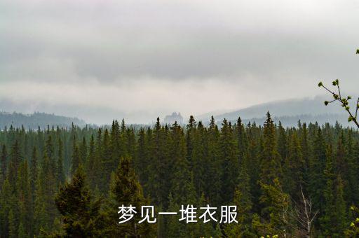 夢見一堆衣服