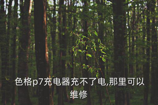  色格p7充電器充不了電,那里可以維修