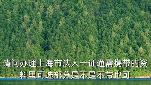 請問辦理上海市法人一證通需攜帶的資料里可選部分是不是不帶也可