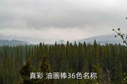 真彩 油畫棒36色名稱