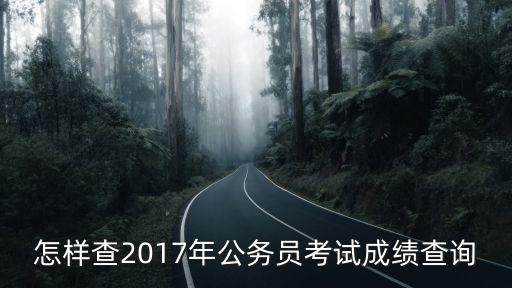 怎樣查2017年公務員考試成績查詢
