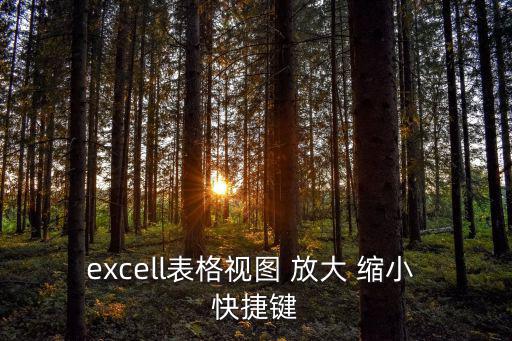 excell表格視圖 放大 縮小 快捷鍵