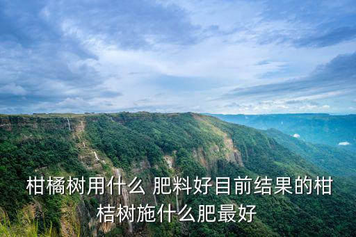  柑橘樹用什么 肥料好目前結果的柑桔樹施什么肥最好