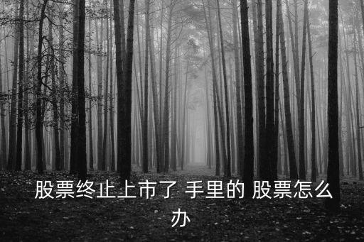 股票退市了手里的股票怎么辦,三板市場是公司退市市場