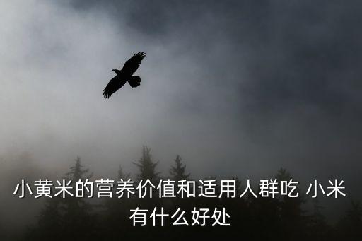 小黃米的營養(yǎng)價(jià)值和適用人群吃 小米有什么好處