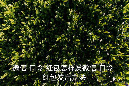 口令紅包怎么發(fā),支付寶口令紅包怎么發(fā)?