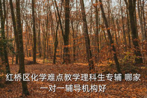 紅橋區(qū)化學(xué)難點(diǎn)教學(xué)理科生專輔 哪家一對一輔導(dǎo)機(jī)構(gòu)好