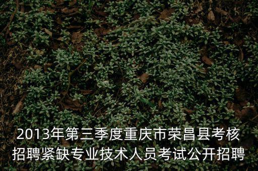 2013年第三季度重慶市榮昌縣考核招聘緊缺專業(yè)技術(shù)人員考試公開招聘