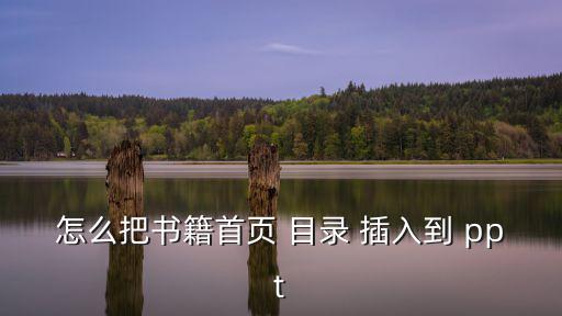 ppt插入目錄,如何制作文件夾?三種方式可以參考書籍目錄