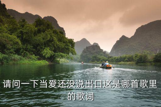 請問一下當愛還沒說出口這是哪首歌里的歌詞