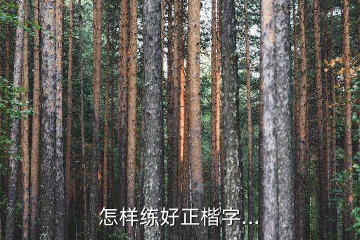 怎樣練好正楷字…