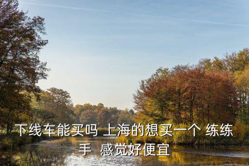 下線車能買嗎 上海的想買一個 練練手  感覺好便宜
