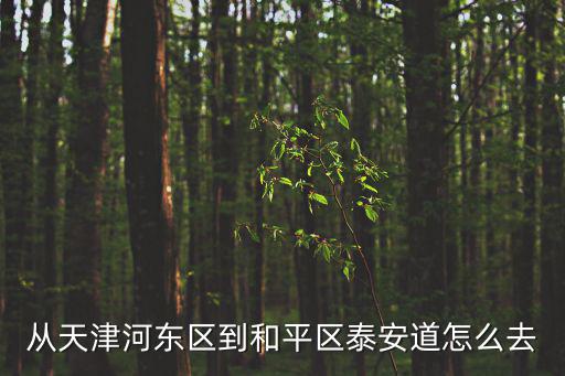 從天津河東區到和平區泰安道怎么去