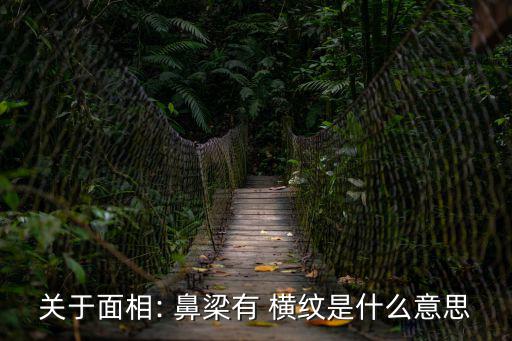 關(guān)于面相: 鼻梁有 橫紋是什么意思
