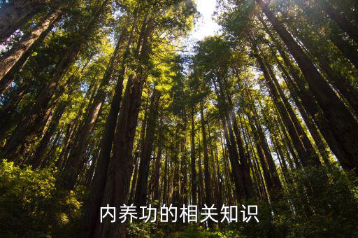 內養功的相關知識
