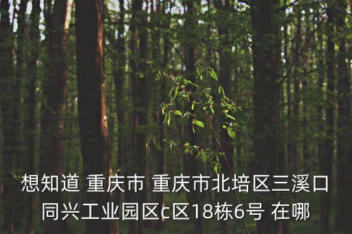 想知道 重慶市 重慶市北培區(qū)三溪口同興工業(yè)園區(qū)c區(qū)18棟6號(hào) 在哪