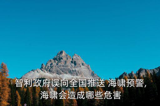 智利海嘯,智利海嘯掀巨浪威脅海底25米深處