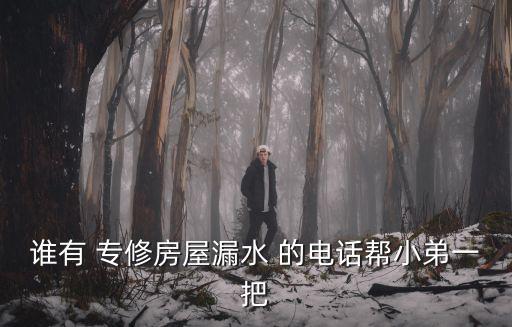 誰有 專修房屋漏水 的電話幫小弟一把