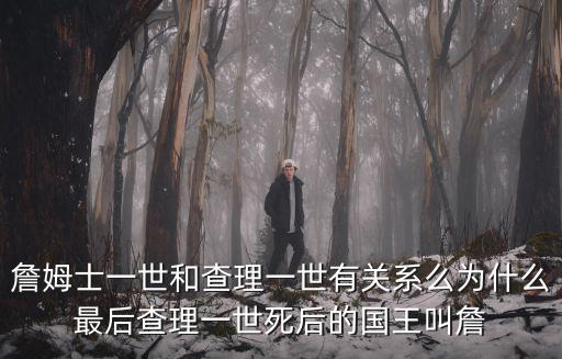 詹姆士一世和查理一世有關系么為什么最后查理一世死后的國王叫詹