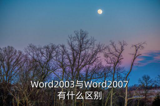 word2003