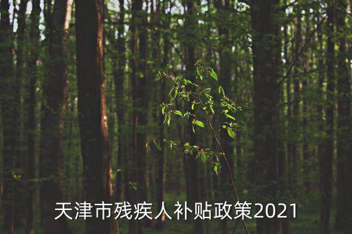 天津市殘疾人補貼政策2021