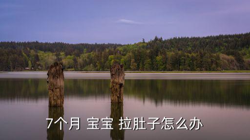 7個(gè)月 寶寶 拉肚子怎么辦