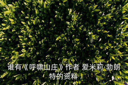 愛米莉,簡愛》和艾米莉的英文名