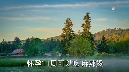  懷孕11周可以吃 麻辣燙