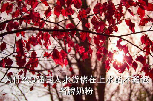為什么D強(qiáng)國(guó)人水貨佬在上水站不搬運(yùn)名牌奶粉