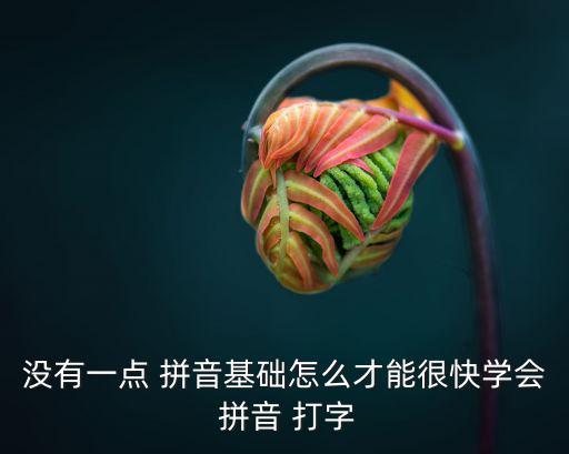 沒有一點 拼音基礎怎么才能很快學會 拼音 打字