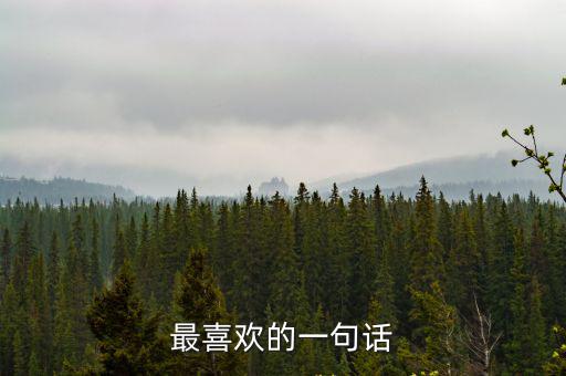 最喜歡的一句話