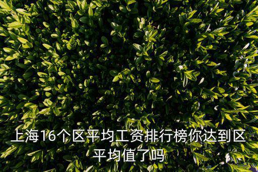上海16個區(qū)平均工資排行榜你達到區(qū)平均值了嗎