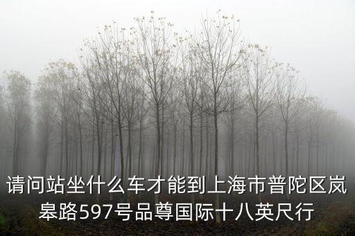 請(qǐng)問(wèn)站坐什么車(chē)才能到上海市普陀區(qū)嵐皋路597號(hào)品尊國(guó)際十八英尺行