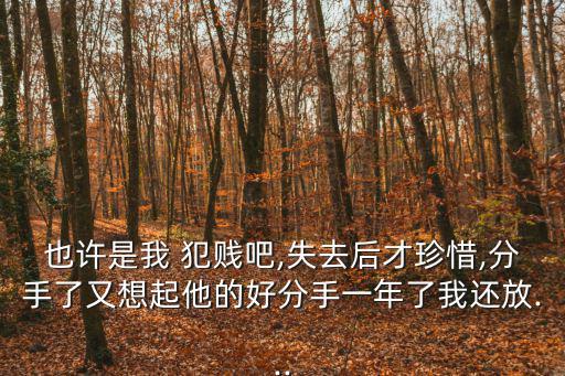 是我犯賤,我和你一樣希望被祝福