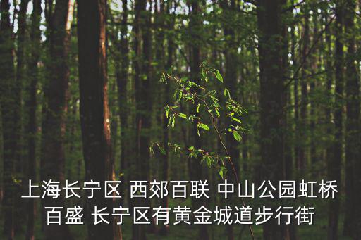 上海長(zhǎng)寧區(qū) 西郊百聯(lián) 中山公園虹橋百盛 長(zhǎng)寧區(qū)有黃金城道步行街