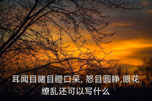 耳聞目睹目瞪口呆, 怒目圓睜,眼花繚亂還可以寫什么
