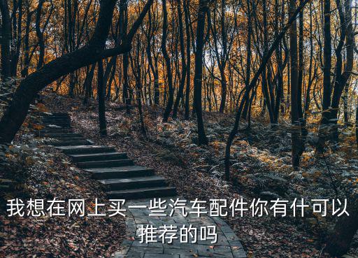 我想在網上買一些汽車配件你有什可以推薦的嗎