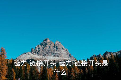  磁力 鏈接開頭 磁力 鏈接開頭是什么