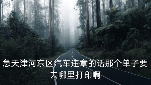 急天津河東區汽車違章的話那個單子要去哪里打印啊