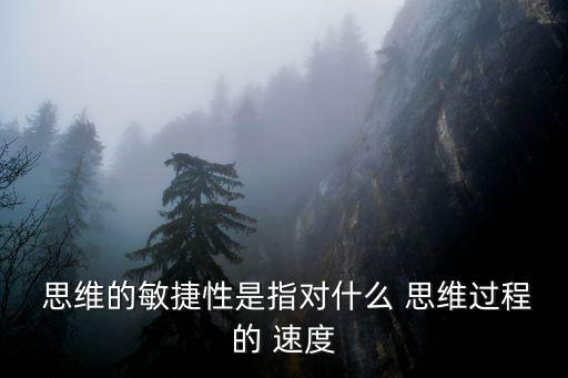  思維的敏捷性是指對什么 思維過程的 速度