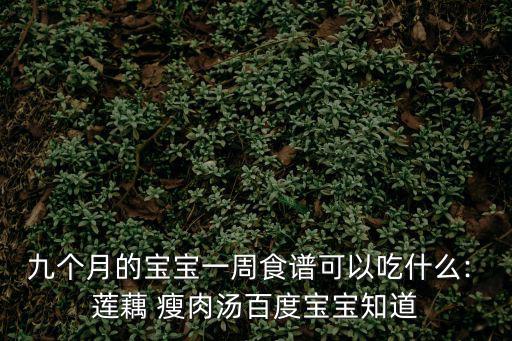 九個月的寶寶一周食譜可以吃什么: 蓮藕 瘦肉湯百度寶寶知道