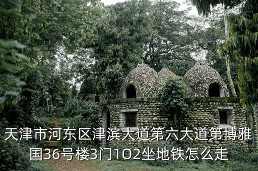 天津市河?xùn)|區(qū)津濱大道第六大道第博雅國36號樓3門1O2坐地鐵怎么走