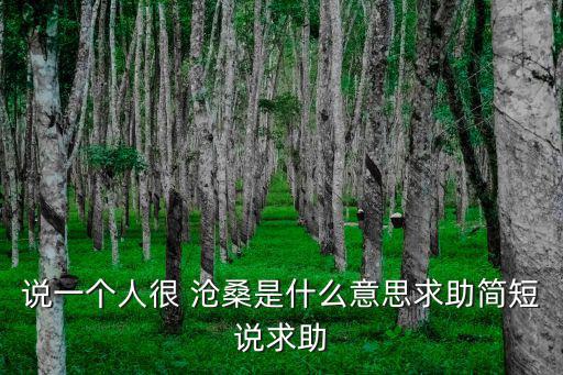 滄桑的意思,數據年同義詞滄桑