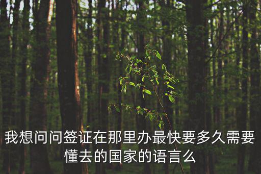 我想問問簽證在那里辦最快要多久需要懂去的國家的語言么
